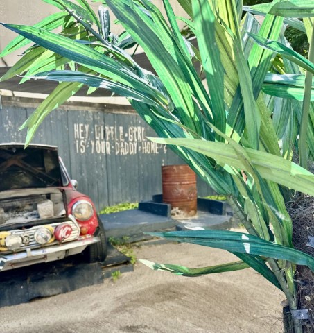 The Room.44 Room With Shared Bathroom - The Room.44 Room with Shared Bathroom - Gallery - 8