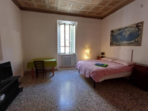 Elegant large double bedroom close to the city center