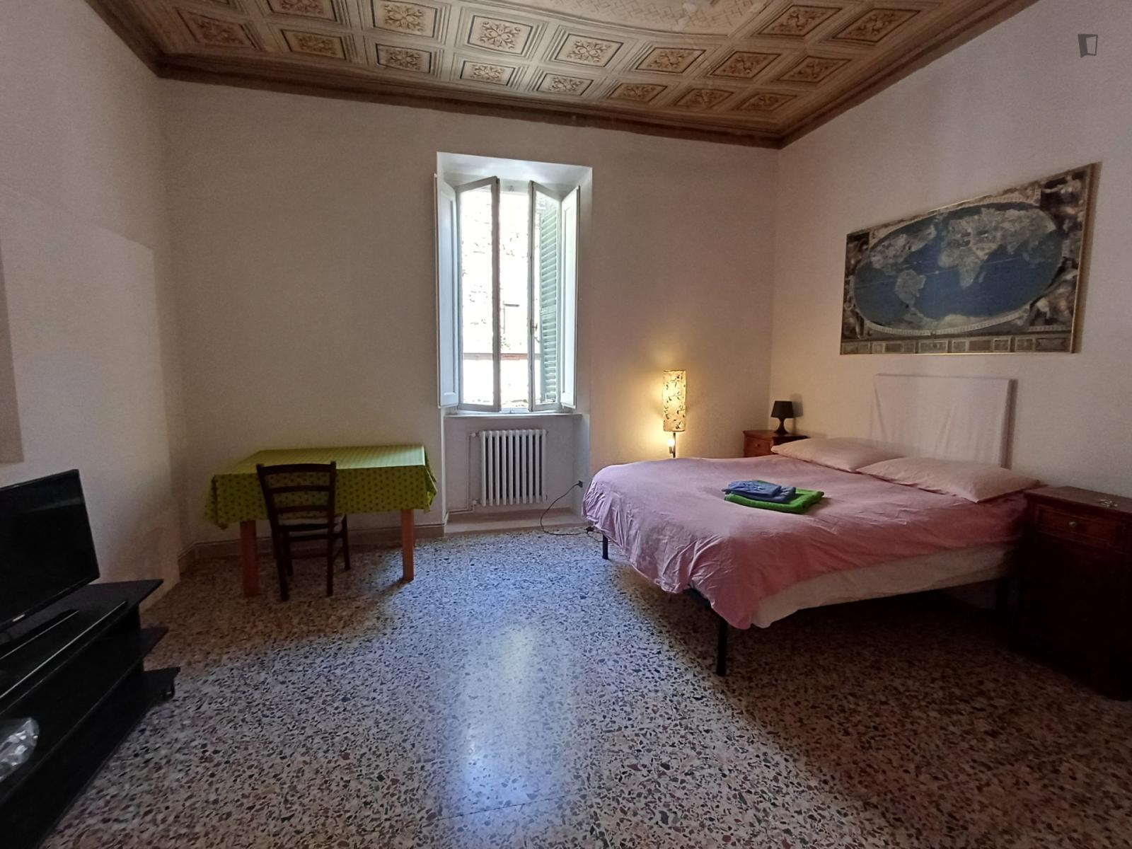  Elegant Large Double Bedroom Close To The City Center  -  Elegant large double bedroom close to the city center  - Gallery -  1