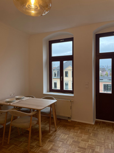 Perfect, beautiful apartment in Dresden