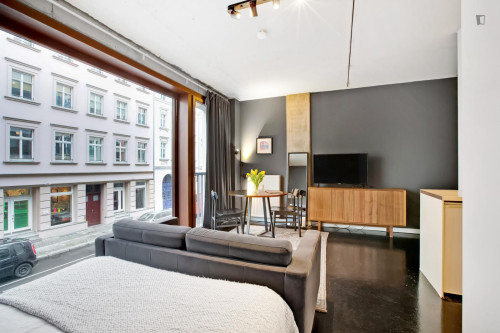 Amazing entire apartment in Mitte Wedding