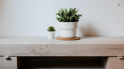 Comfy studio in Ardeatino