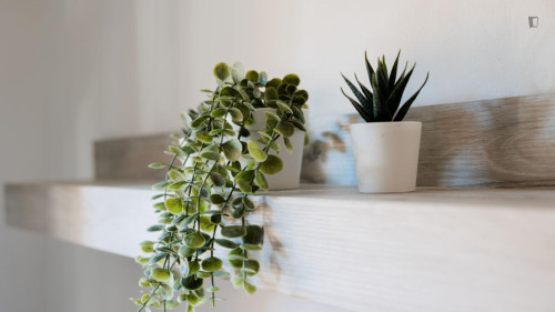 Comfy studio in Ardeatino