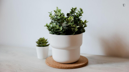 Comfy studio in Ardeatino