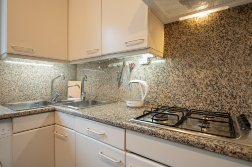 Excellent 1-bedroom apartment, with a terrace, in Flaminio