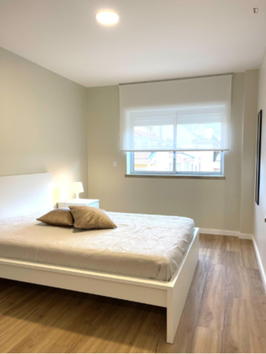 Apartment : 1 room / 1 living / 1 bathrom / balcony /close to ESECS