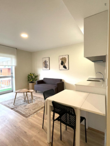 Apartment : 1 room / 1 living / 1 bathrom / balcony /close to ESECS