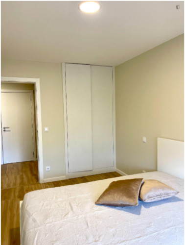 Apartment : 1 room / 1 living / 1 bathrom / balcony /close to ESECS