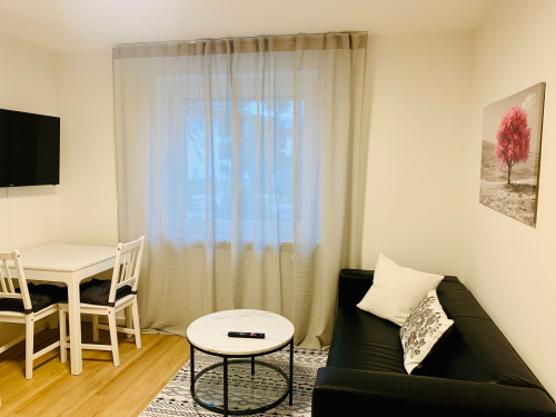 Modern 2-Room Apartment in Wörthsee – Fully Furnished & Ready to Move In! - Gallery - 14
