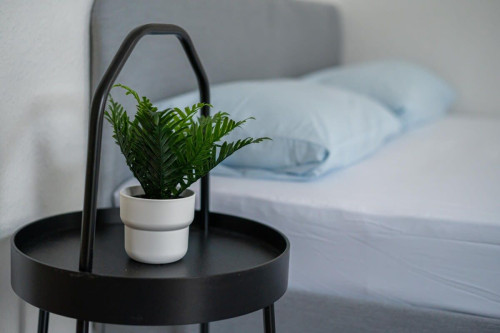 Stylish 2-room apartment in the heart of Erfurt - Gallery - 18