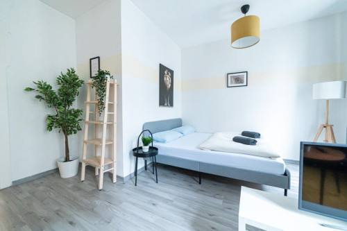 Stylish 2-room apartment in the heart of Erfurt
