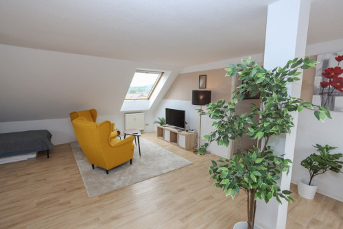 Beautiful loft in Central Location in Eisenach - Gallery - 13