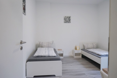 Bright apartment in Neuwied