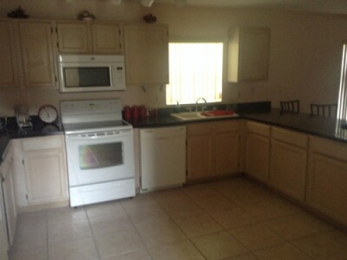Room by Disney's SeaWorld Universal - Gallery - 5