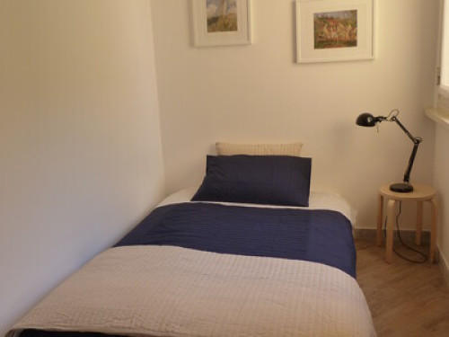 Rooms in shared apartment