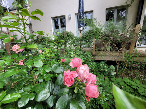 Cozy apartment on the riverbank in Potsdam