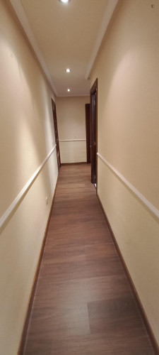 Welcoming 3 Bedroom Apartment close to Campo de San Francisco Park