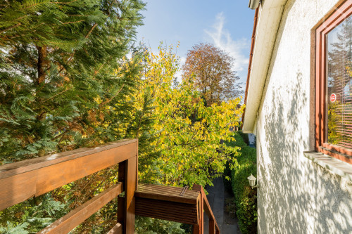 Pretty suite close to park