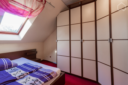 Pretty suite close to park