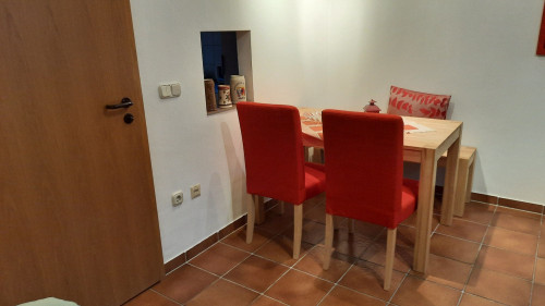 Large and cosy with Top-location - center of Rhine-Main - near airport