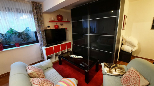 Large and cosy with Top-location - center of Rhine-Main - near airport