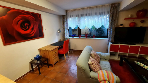 Large and cosy with Top-location - center of Rhine-Main - near airport