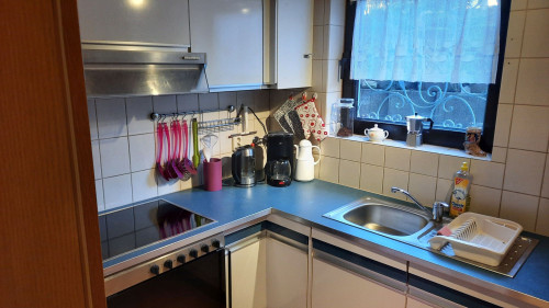 Large and cosy with Top-location - center of Rhine-Main - near airport - Gallery - 9