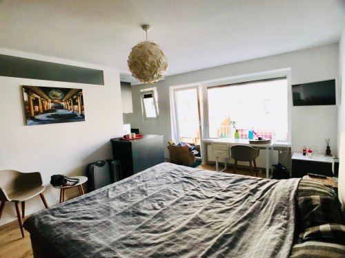 Redeveloped suite & balcony in Düsseldorf-Pempelfort