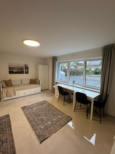First occupancy: Fully furnished modern apartment in a quiet location - Gallery - 7