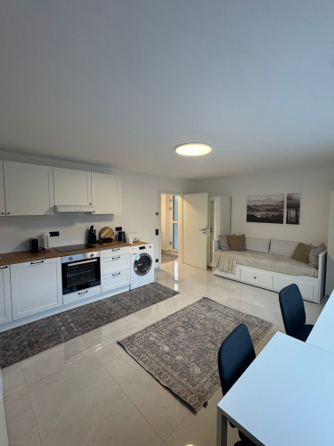 First occupancy: Fully furnished modern apartment in a quiet location - Gallery - 8