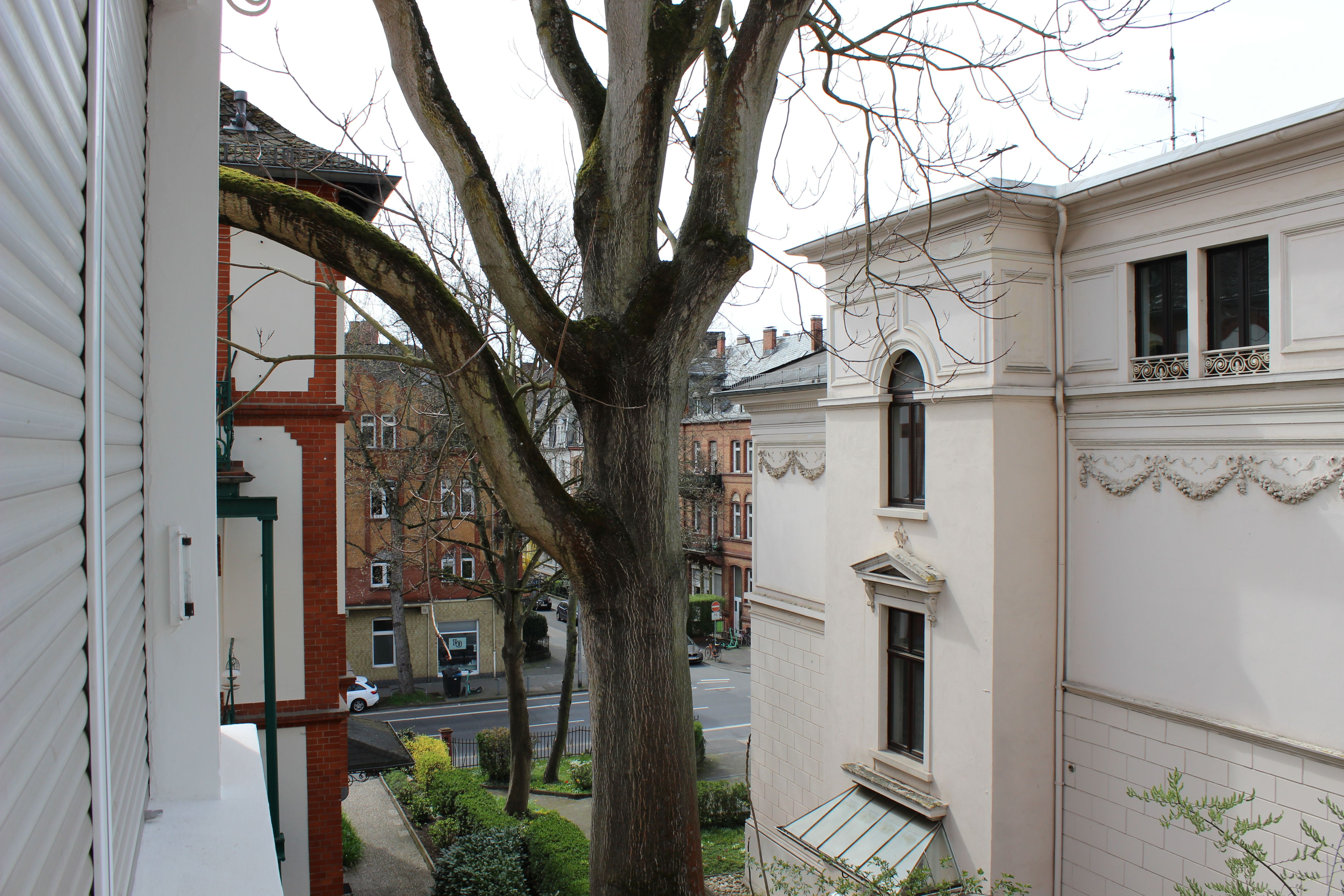 Furnished, Centrally Located 2-Room Apartment With A Private Entrance And Winter Garden In An Art No - Furnished, centrally located 2-room apartment with a private entrance and winter garden in an Art Nouveau villa - Gallery - 5