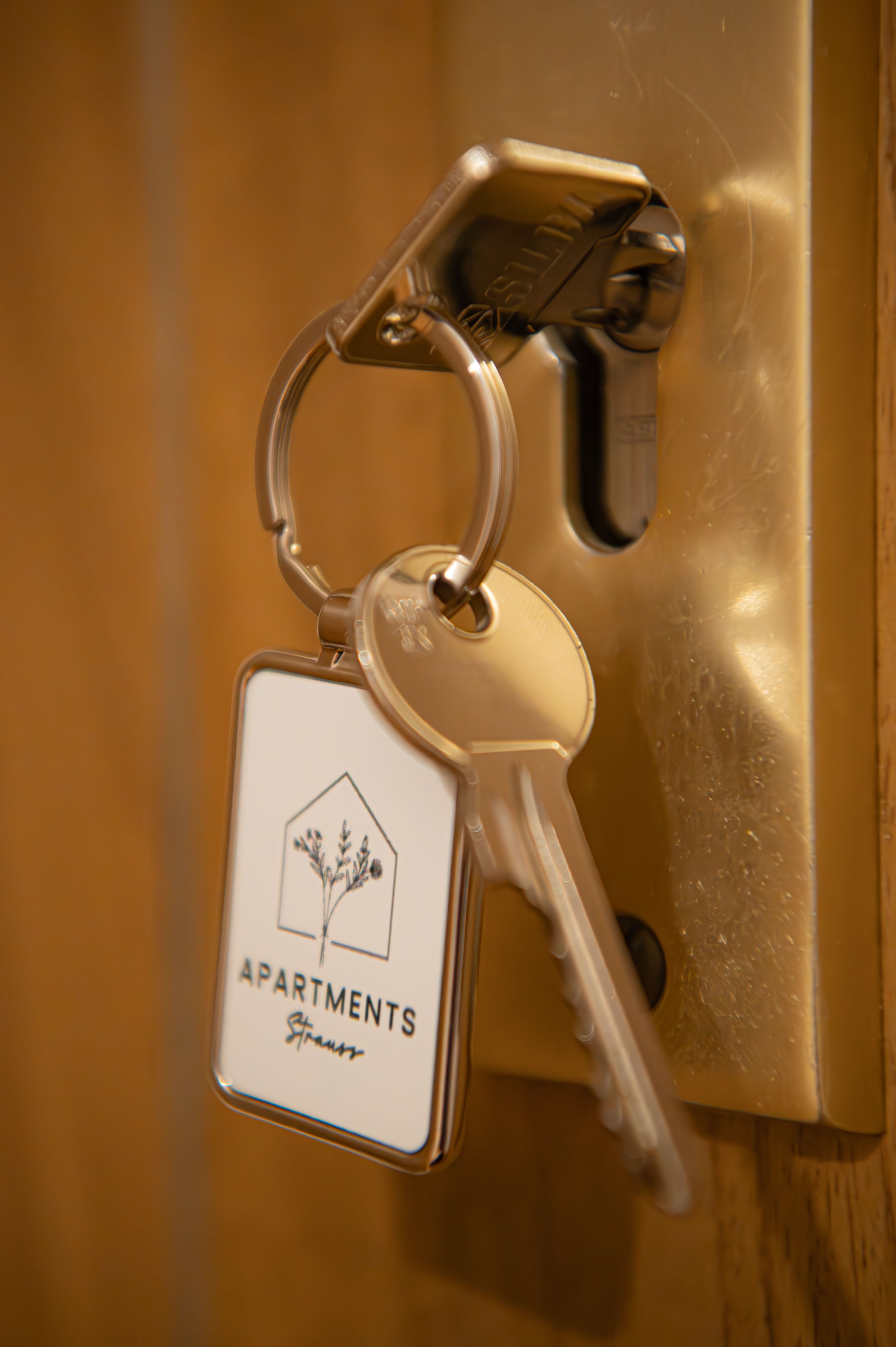  Gorgeous Flat In Braunschweig  -  Gorgeous flat in Braunschweig  - Gallery -  5