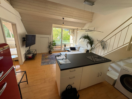 Spacious Maisonette-Apartment in Karlsruhe