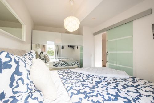 Rob’s Place – Quiet 2-Room Oasis - Gallery - 16