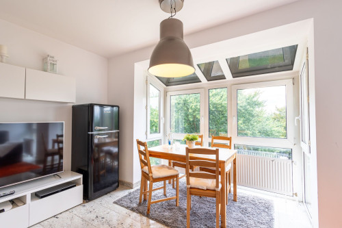 Rob’s Place – Quiet 2-Room Oasis - Gallery - 3