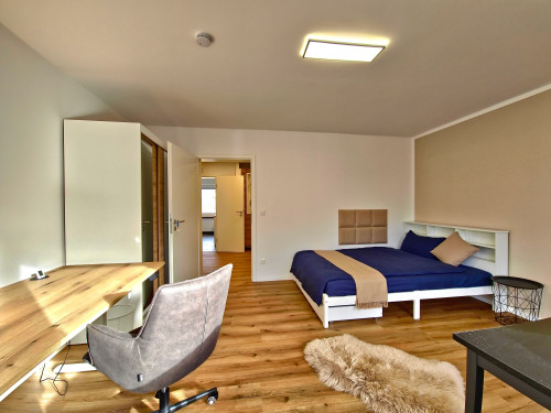 Co-Living 4 Students & Young Professionals