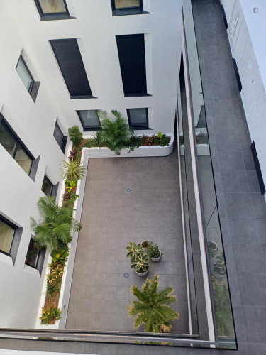 Modern 1-bedroom apartment with outdoor area close to the popular Calle Triana - Gallery - 9