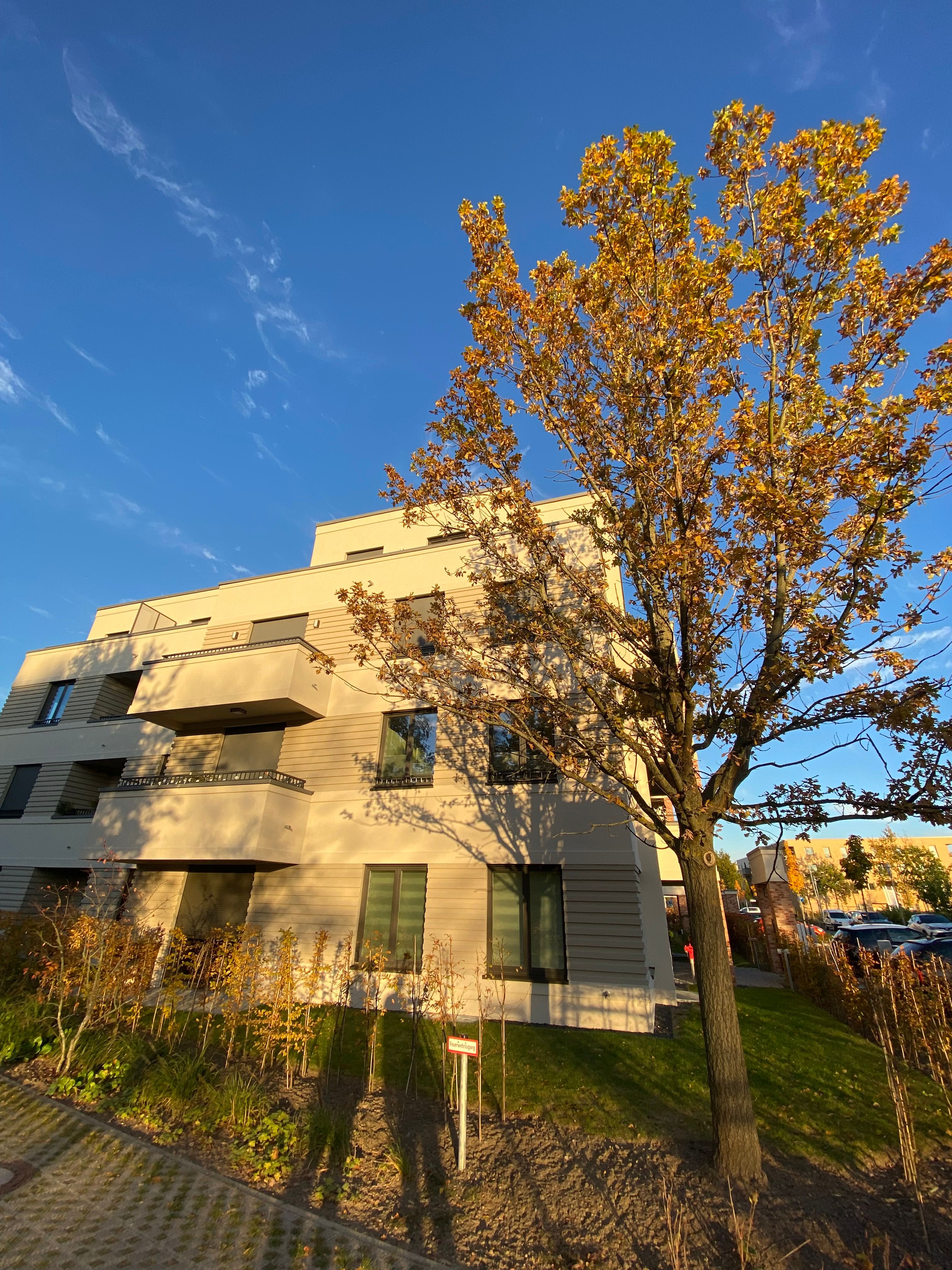  Pretty & Awesome Flat - Close To SAP & Universities In Potsdam  -  Pretty & awesome flat - close to SAP & Universities in Potsdam  - Gallery -  8
