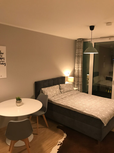 Quiet apartment in Dresden