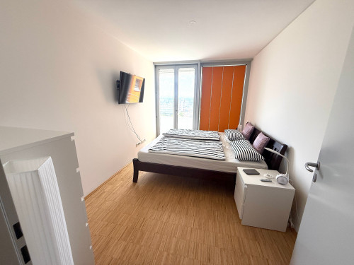 Exclusive furnished 4-room apartment with garage in Munich Obersendling