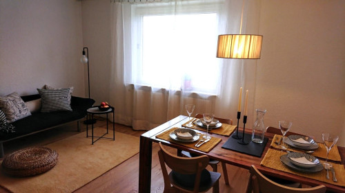 friendly apartment by the lake (Uhldingen-Mühlhofen)
