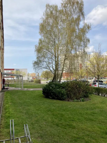 Lovely flat located in Greifswald