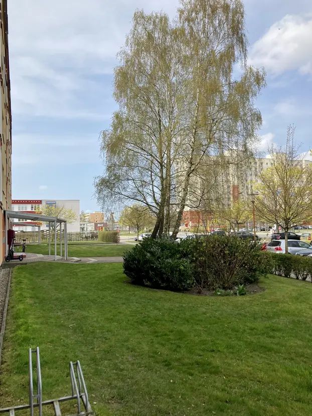 Lovely Flat Located In Greifswald - Lovely flat located in Greifswald - Gallery - 1