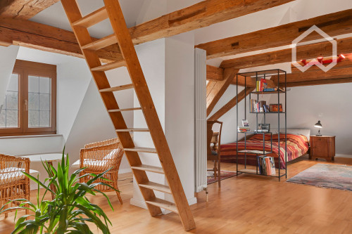 Working in the city - living in the countryside: Beautiful, charming flat in a historic property