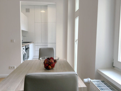 Perfect home office near Volkspark Friedrichshain