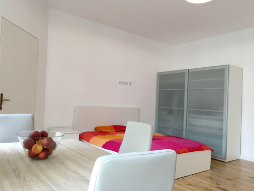 Perfect home office near Volkspark Friedrichshain