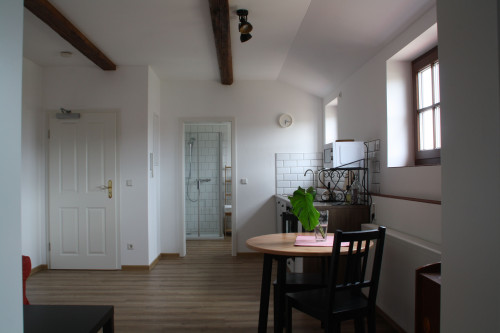 Holiday Farm Steindörfel - Leaning Barn 1