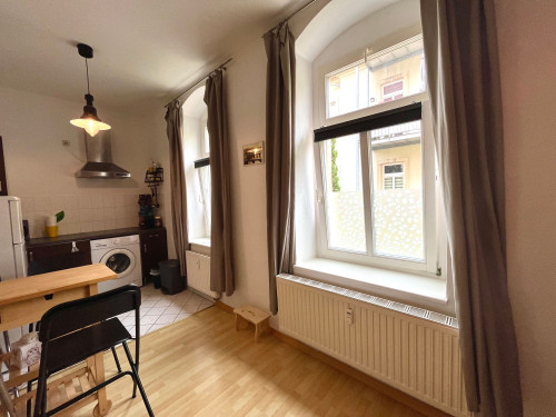 Amazing & fashionable Studio apartment in Dresden. Great connections, parking available. Quiet neighborhood. 10min to Central Station