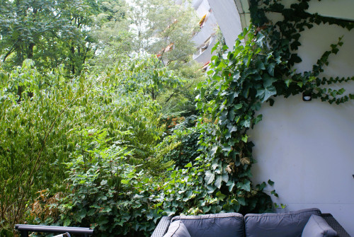 Designer Suite w/ Terrace & Swimmingpool in Frankfurt (By subway: 5 min to Central Station, 3 min to Hauptwache) - Gallery - 51