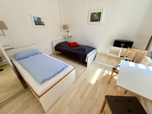 Studio-Apartment in historic town - university, clinics by foot,parking - Gallery - 8